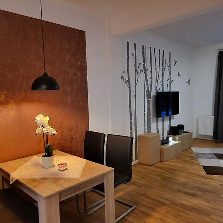 Trendige Stadtwohnung, Historisches Haus Mit Terrasse Und Garten Μαγδεβούργο Εξωτερικό φωτογραφία